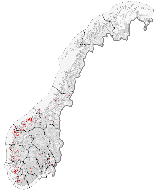 kartvisning