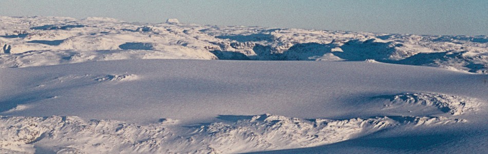 Foto av isbredominert