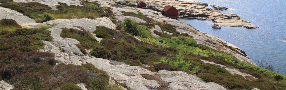 Foto av svært eksponert ytre kyst
