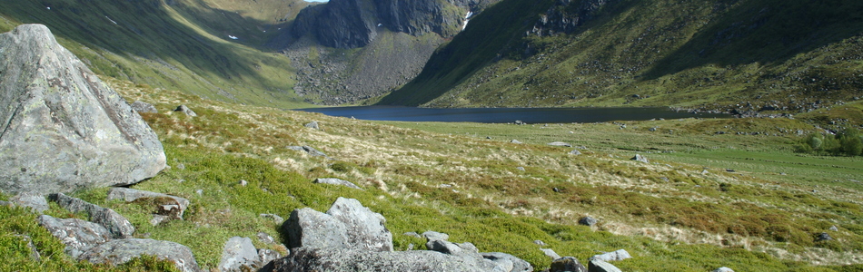 Foto av dypt nedskåret dallandskap med hei under skoggrensen