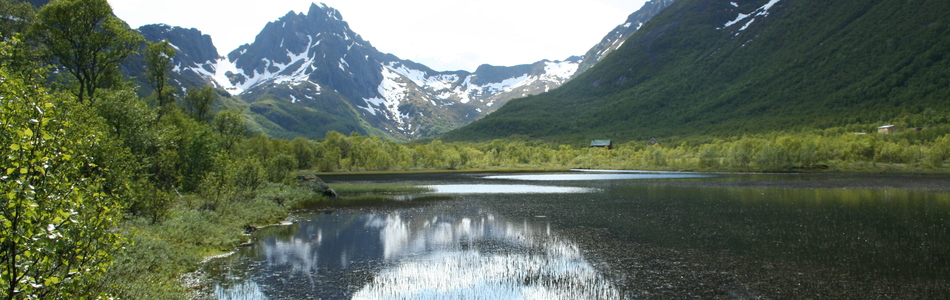 Foto av dypt nedskåret dallandskap under skoggrensen