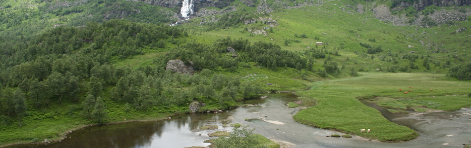 Foto av nedskåret dallandskap med hei under skoggrensen