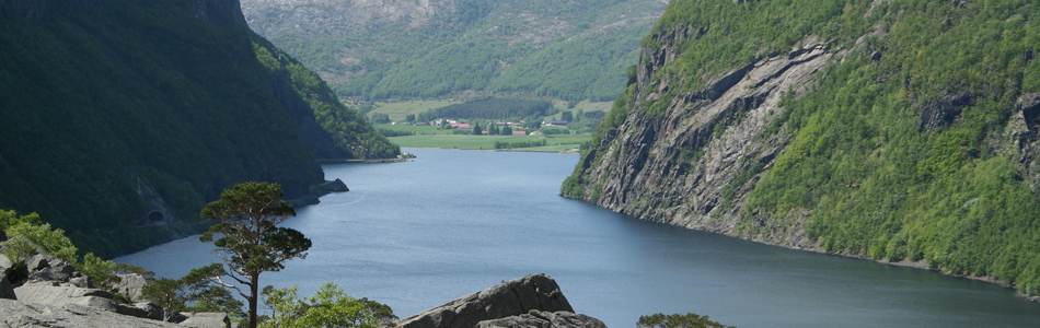 Foto av nedskåret dallandskap under skoggrensen