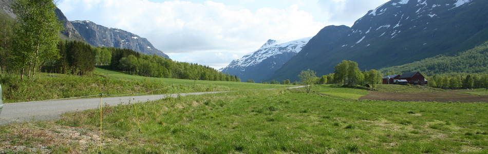 Foto av nedskåret dallandskap under skoggrensen med bebygde områder
