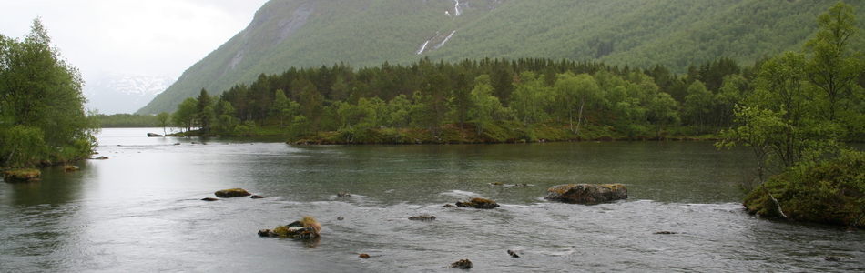 Foto av nedskåret dallandskap under skoggrensen med større innsjø