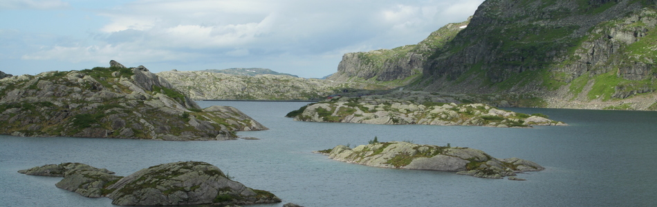 Foto av relativt åpent dallandskap med hei under skoggrensen
