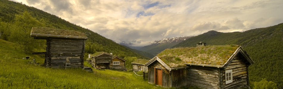 Foto av relativt åpent dallandskap under skoggrensen