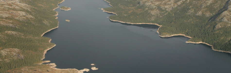 Foto av relativt åpent dallandskap under skoggrensen med innsjø