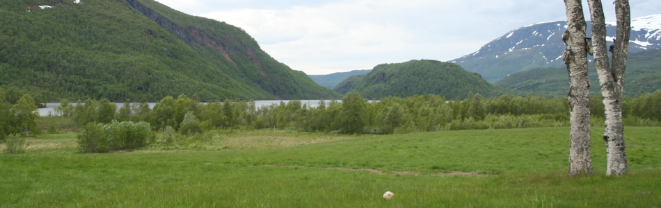 Foto av relativt åpent dallandskap under skoggrensen med innsjø og bebygde områder