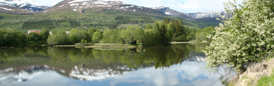 Foto av relativt åpent dallandskap under skoggrensen med større innsjø og bebygde områder