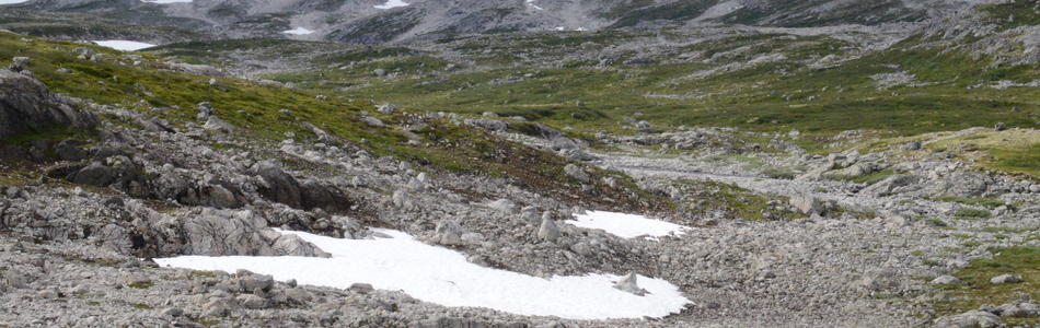 Foto av åpent dallandskap med bart fjell over skoggrensen