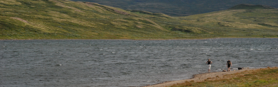 Foto av åpent dallandskap med hei over skoggrensen