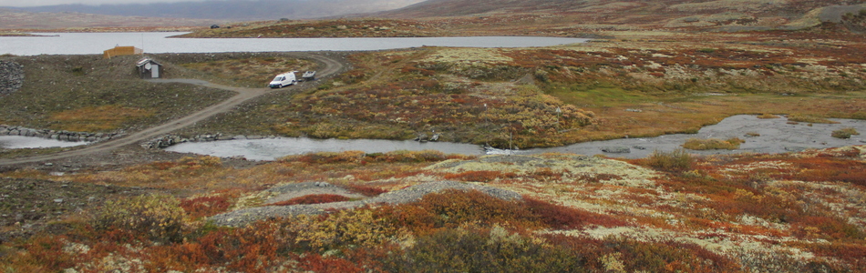 Foto av åpent dallandskap med hei over skoggrensen med innsjø
