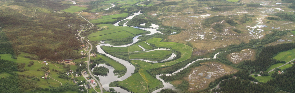 Foto av åpent dallandskap under skoggrensen med bebygde områder