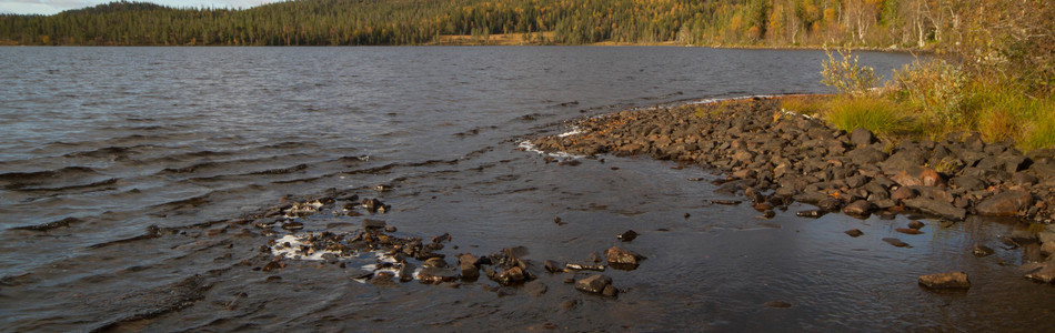 Foto av åpent dallandskap under skoggrensen med innsjø