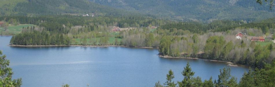 Foto av åpent dallandskap under skoggrensen med innsjø og bebygde områder