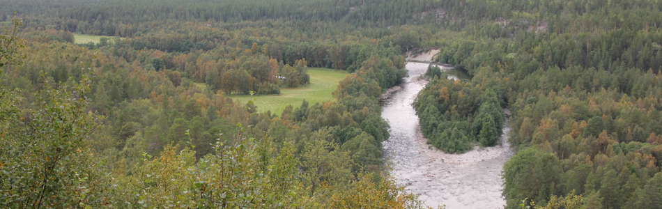 Foto av åpent dallandskap under skoggrensen med jordbruksdominans
