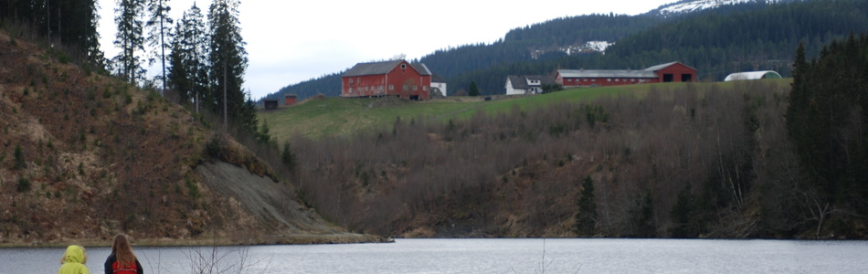 Foto av åpent dallandskap under skoggrensen med tett bebyggelse og jordbruksdominans
