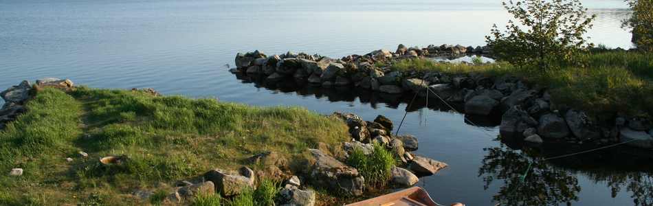 Foto av innlandsslettelandskap under skoggrensen