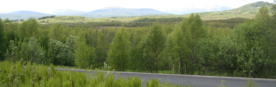 Foto av kystnært innlandsslettelandskap under skoggrensen med høyt våtmarkspreg og bebygde områder