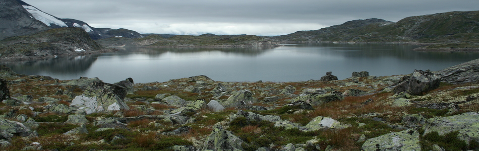 Foto av grunne daler i ås- og fjellandskap med bart fjell over skoggrensen