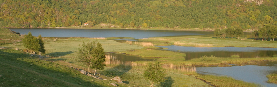 Foto av grunne daler i ås- og fjellandskap under skoggrensen med bebygde områder og jordbruksdominans