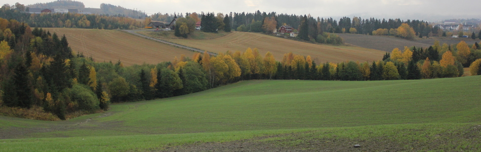 Foto av grunne daler i ås- og fjellandskap under skoggrensen med tett bebyggelse og jordbruksdominans