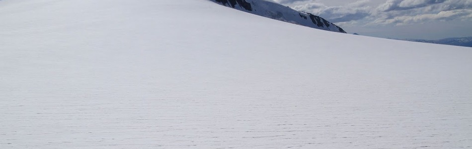 Foto av kupert ås- og fjellandskap dominert av isbre med bart fjell over skoggrensen