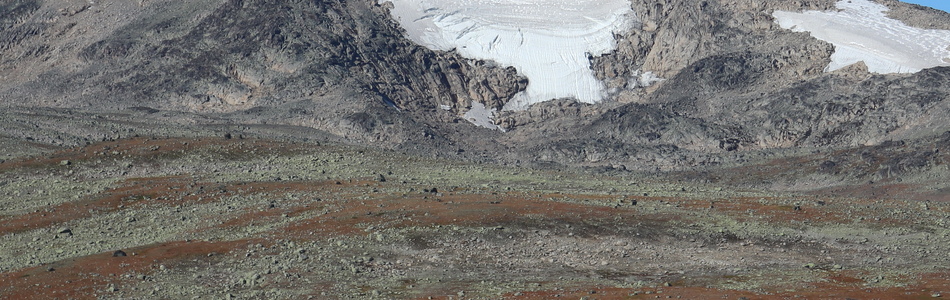 Foto av kupert ås- og fjellandskap med bart fjell over skoggrensen