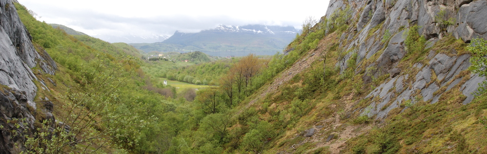 Foto av kupert ås- og fjellandskap under skoggrensen