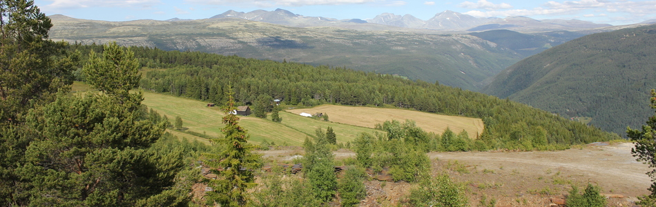 Foto av kupert ås- og fjellandskap under skoggrensen med bebygde områder