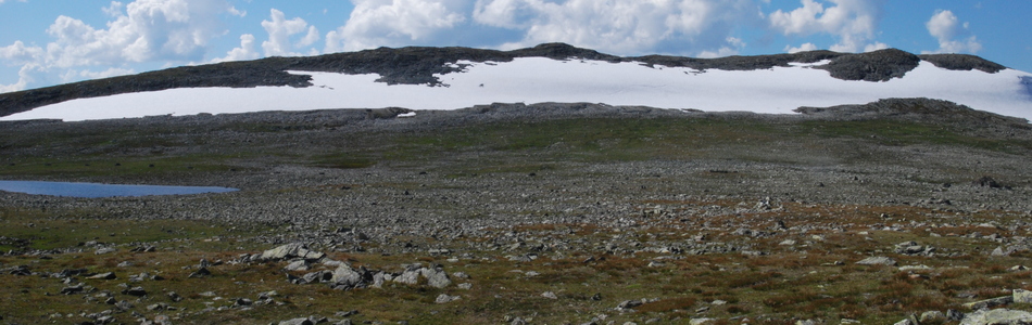 Foto av middels kupert ås- og fjellandskap med bart fjell over skoggrensen