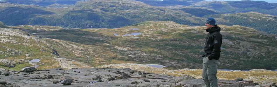 Foto av middels kupert ås- og fjellandskap med hei under skoggrensen