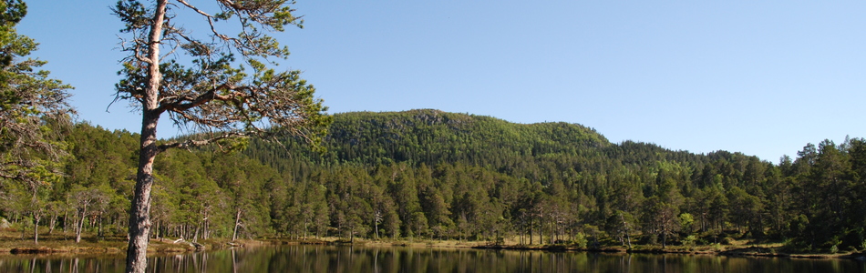 Foto av middels kupert ås- og fjellandskap under skoggrensen med bebygde områder