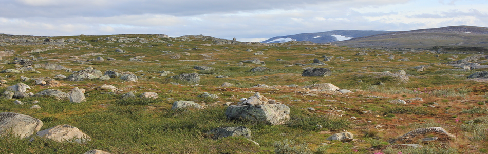 Foto av slakt til småkupert ås- og fjellandskap med bart fjell over skoggrensen