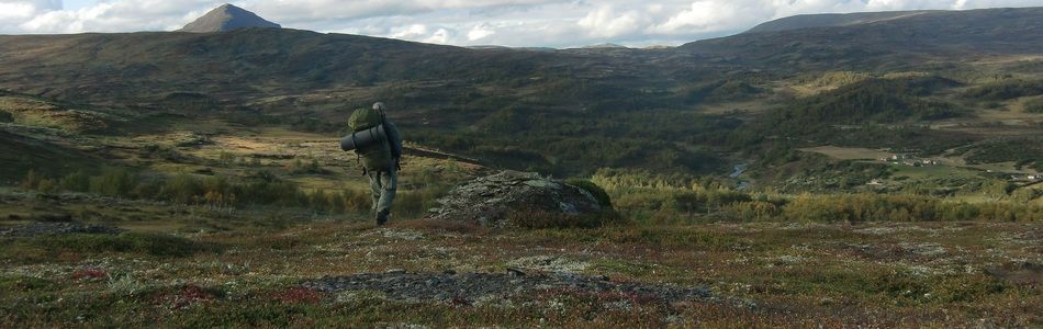 Foto av slakt til småkupert ås- og fjellandskap med hei over skoggrensen