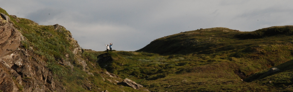 Foto av slakt til småkupert ås- og fjellandskap under skoggrensen