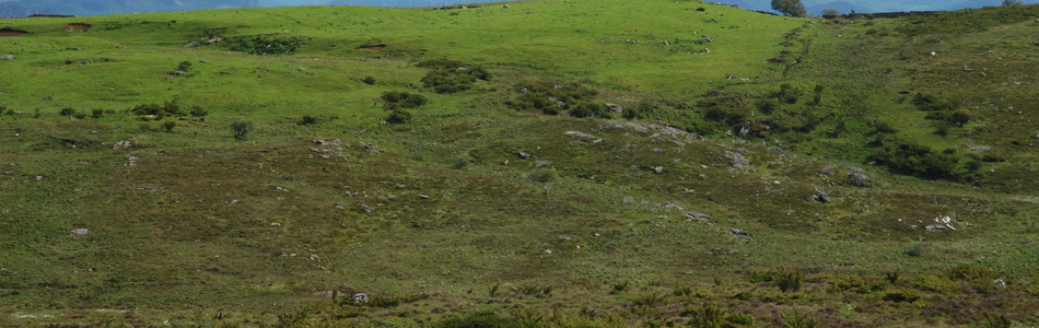 Foto av slakt til småkupert ås- og fjellandskap under skoggrensen med bebygde områder og jordbruksdominans