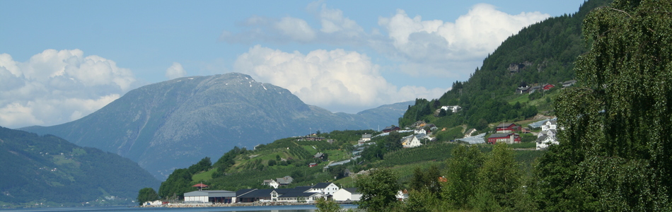 Foto av nedskåret fjordlandskap med tett bebyggelse