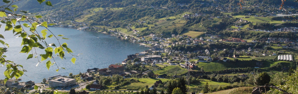 Foto av nedskåret fjordlandskap med tett bebyggelse og jorbruksdominans