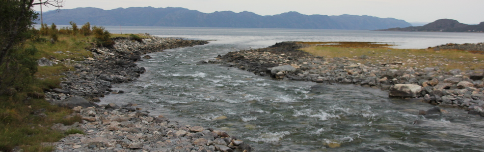 Foto av åpent fjordlandskap med bebygde områder