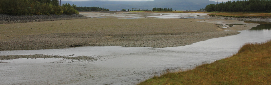 Foto av skjermet indre kystslettelandskap