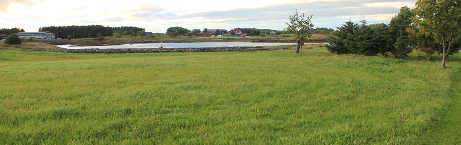 Foto av skjermet indre kystslettelandskap med høyt våtmarkspreg med tett bebyggelse