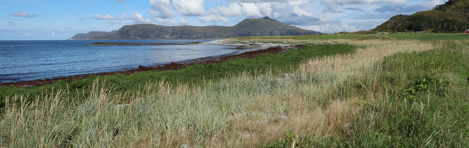 Foto av svært eksponert ytre kystslettelandskap