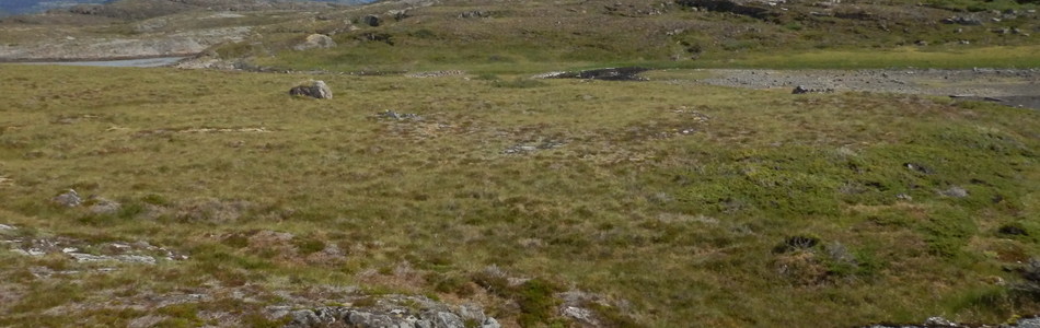 Foto av svært eksponert ytre kystslettelandskap med bratte åser, restfjell, klipper og stup