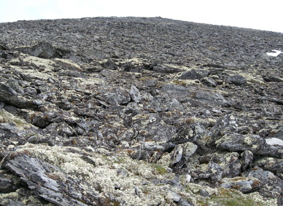 Foto av kalkrike blokkmarker