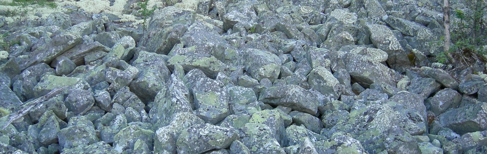 Foto av blokkmark