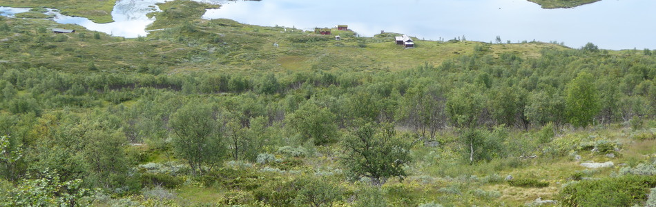 Foto av kalkrik kildepåvirket boreal frisk hei