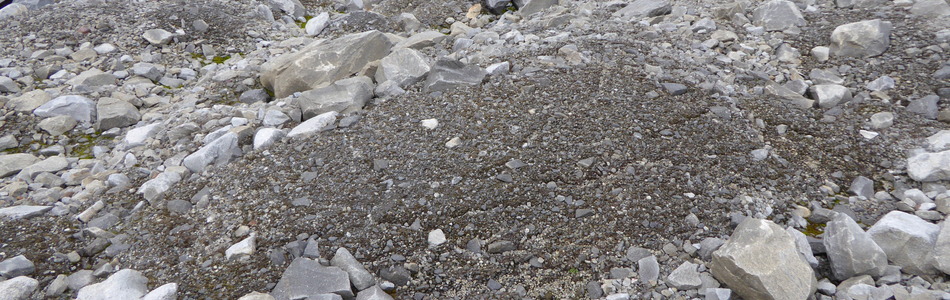 Foto av breforland og snøavsmeltingsområder i pionérfase, dominert av fin grus, sand, silt til leire