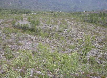 Foto av breforland og snøavsmeltningsområder